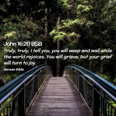 Picture 02 - John 16:20 BSB - Truly, truly, I tell you, you will weep and wail - Bible Verse Picture
