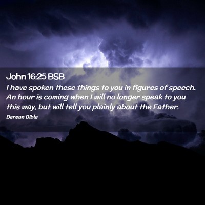 Picture 02 - John 16:25 BSB - I have spoken these things to you in figures of - Bible Verse Picture