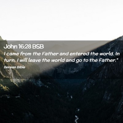 Picture 02 - John 16:28 BSB - I came from the Father and entered the world. In - Bible Verse Picture