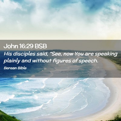 Picture 02 - John 16:29 BSB - His disciples said, “See, now You are speaking - Bible Verse Picture
