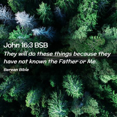 Picture 02 - John 16:3 BSB - They will do these things because they have not - Bible Verse Picture