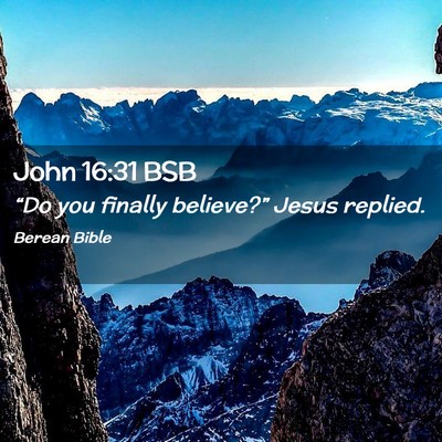 Picture 02 - John 16:31 BSB - “Do you finally believe?” Jesus - Bible Verse Picture