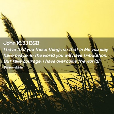 Picture 02 - John 16:33 BSB - I have told you these things so that in Me you - Bible Verse Picture