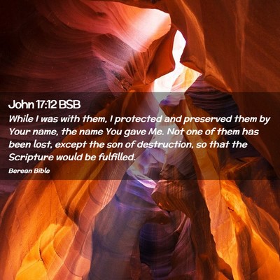 Picture 02 - John 17:12 BSB - While I was with them, I protected and preserved - Bible Verse Picture