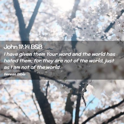 Picture 02 - John 17:14 BSB - I have given them Your word and the world has - Bible Verse Picture
