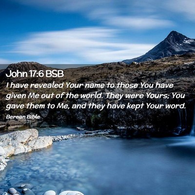 Picture 02 - John 17:6 BSB - I have revealed Your name to those You have given - Bible Verse Picture