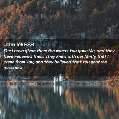 Picture 02 - John 17:8 BSB - For I have given them the words You gave Me, and - Bible Verse Picture