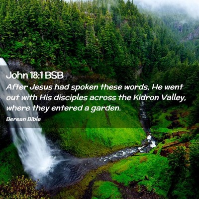 Picture 02 - John 18:1 BSB - After Jesus had spoken these words, He went out - Bible Verse Picture