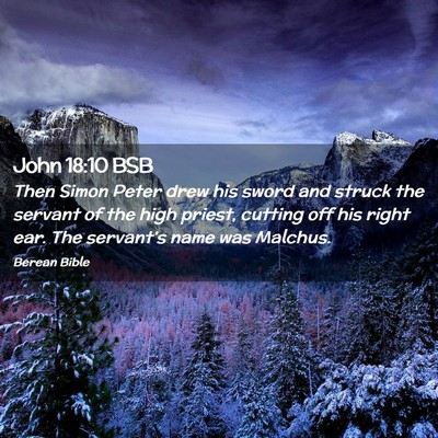 Picture 02 - John 18:10 BSB - Then Simon Peter drew his sword and struck the - Bible Verse Picture
