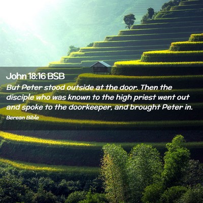 Picture 02 - John 18:16 BSB - But Peter stood outside at the door. Then the - Bible Verse Picture