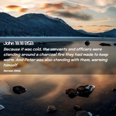 Picture 02 - John 18:18 BSB - Because it was cold, the servants and officers - Bible Verse Picture