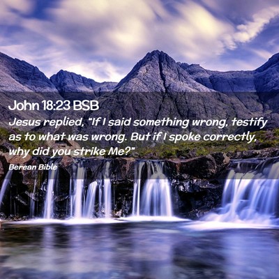 Picture 02 - John 18:23 BSB - Jesus replied, “If I said something wrong, - Bible Verse Picture