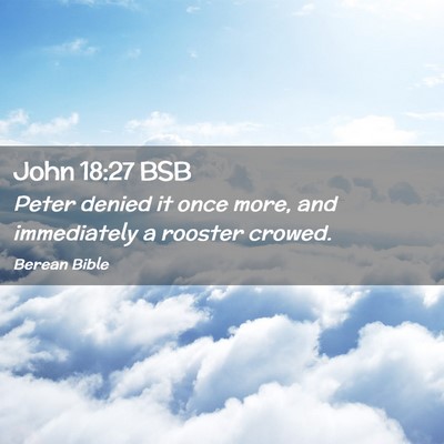 Picture 02 - John 18:27 BSB - Peter denied it once more, and immediately a - Bible Verse Picture