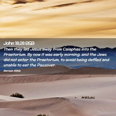 Picture 02 - John 18:28 BSB - Then they led Jesus away from Caiaphas into the - Bible Verse Picture