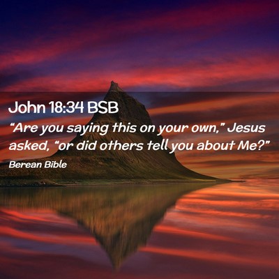 Picture 02 - John 18:34 BSB - “Are you saying this on your own,” Jesus - Bible Verse Picture