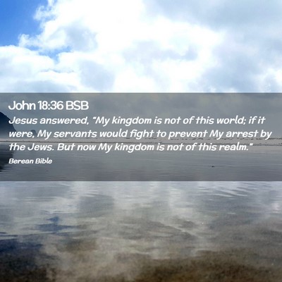 Picture 02 - John 18:36 BSB - Jesus answered, “My kingdom is not of this - Bible Verse Picture