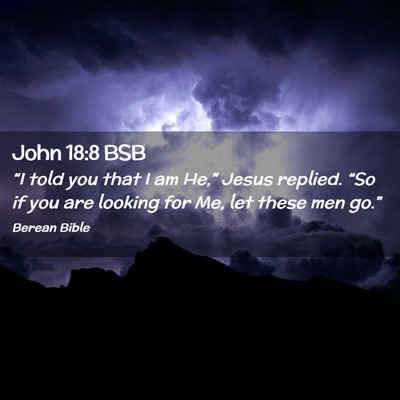 Picture 02 - John 18:8 BSB - “I told you that I am He,” Jesus replied. - Bible Verse Picture