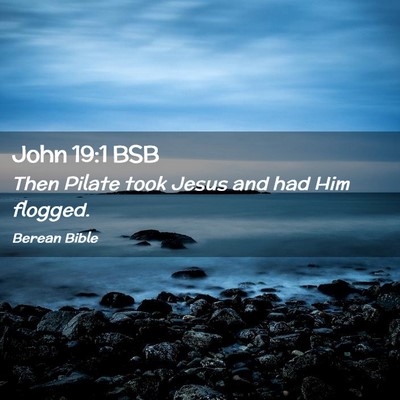 Picture 02 - John 19:1 BSB - Then Pilate took Jesus and had Him - Bible Verse Picture