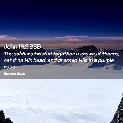 Picture 02 - John 19:2 BSB - The soldiers twisted together a crown of thorns, - Bible Verse Picture