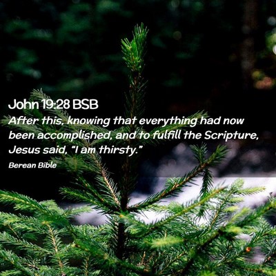 Picture 02 - John 19:28 BSB - After this, knowing that everything had now been - Bible Verse Picture