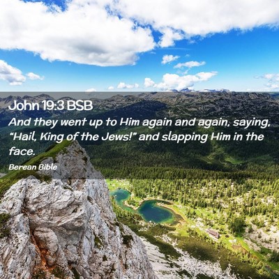Picture 02 - John 19:3 BSB - And they went up to Him again and again, saying, - Bible Verse Picture