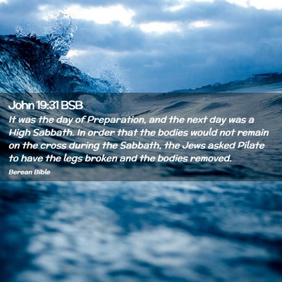 Picture 02 - John 19:31 BSB - It was the day of Preparation, and the next day - Bible Verse Picture