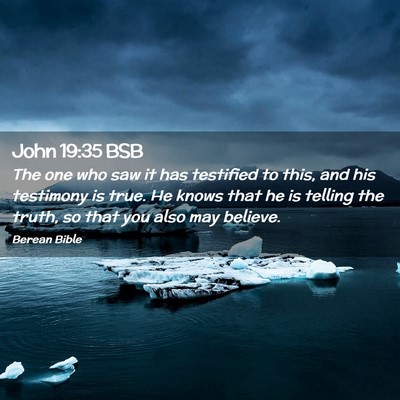Picture 02 - John 19:35 BSB - The one who saw it has testified to this, and his - Bible Verse Picture