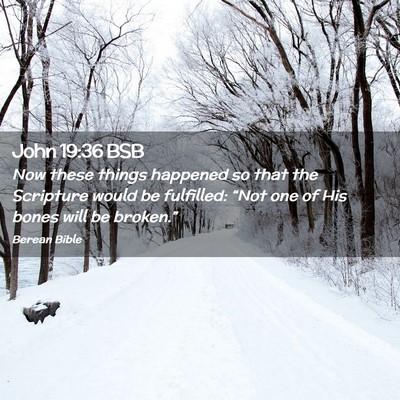 Picture 02 - John 19:36 BSB - Now these things happened so that the Scripture - Bible Verse Picture