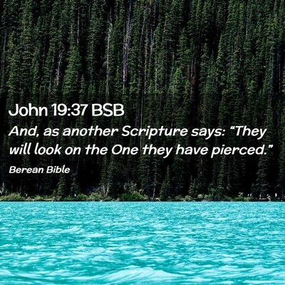 Picture 02 - John 19:37 BSB - And, as another Scripture says: “They will look - Bible Verse Picture