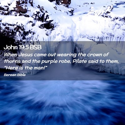 Picture 02 - John 19:5 BSB - When Jesus came out wearing the crown of thorns - Bible Verse Picture