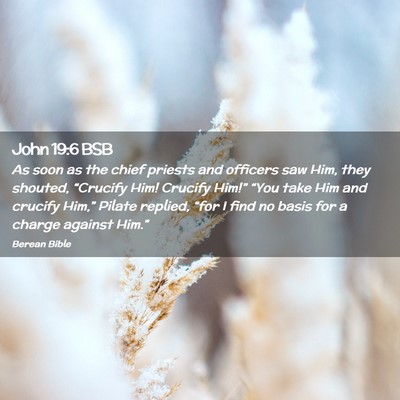 Picture 02 - John 19:6 BSB - As soon as the chief priests and officers saw - Bible Verse Picture