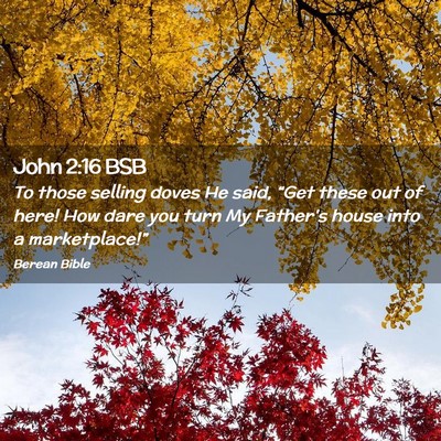 Picture 02 - John 2:16 BSB - To those selling doves He said, “Get these out - Bible Verse Picture