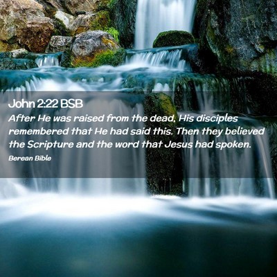Picture 02 - John 2:22 BSB - After He was raised from the dead, His disciples - Bible Verse Picture
