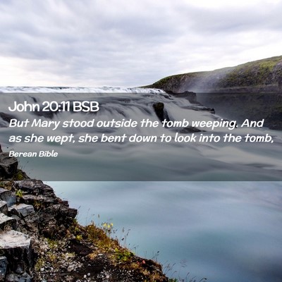 Picture 02 - John 20:11 BSB - But Mary stood outside the tomb weeping. And as - Bible Verse Picture