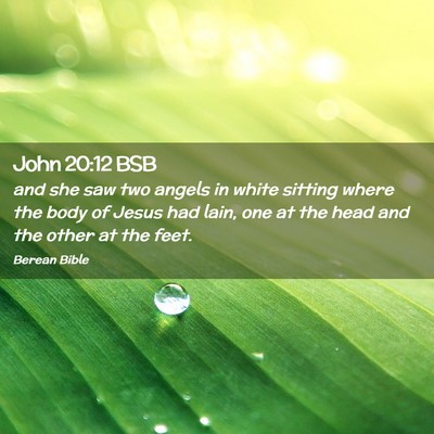 Picture 02 - John 20:12 BSB - and she saw two angels in white sitting where the - Bible Verse Picture