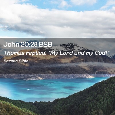 Picture 02 - John 20:28 BSB - Thomas replied, “My Lord and my - Bible Verse Picture