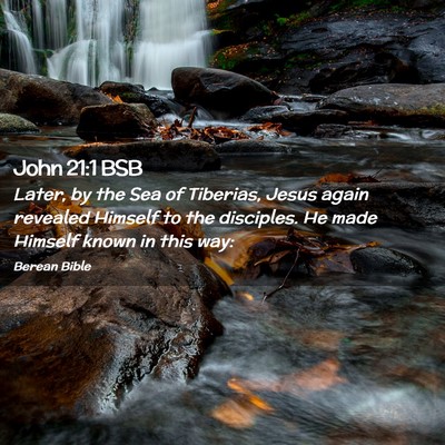 Picture 02 - John 21:1 BSB - Later, by the Sea of Tiberias, Jesus again - Bible Verse Picture