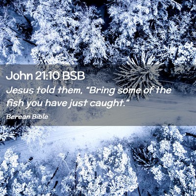 Picture 02 - John 21:10 BSB - Jesus told them, “Bring some of the fish you - Bible Verse Picture