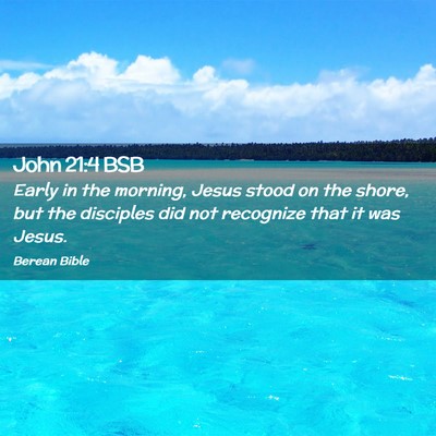Picture 02 - John 21:4 BSB - Early in the morning, Jesus stood on the shore, - Bible Verse Picture