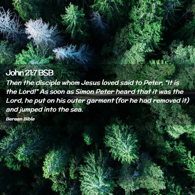Picture 02 - John 21:7 BSB - Then the disciple whom Jesus loved said to Peter, - Bible Verse Picture