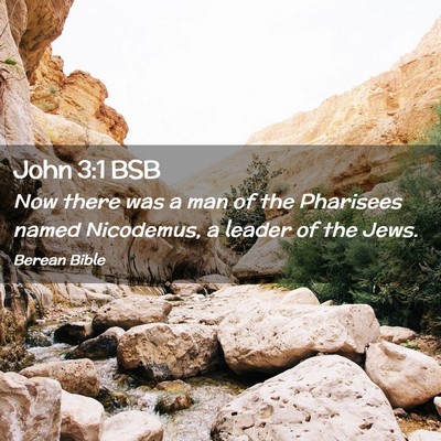 Picture 02 - John 3:1 BSB - Now there was a man of the Pharisees named - Bible Verse Picture
