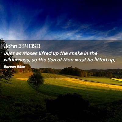 Picture 02 - John 3:14 BSB - Just as Moses lifted up the snake in the - Bible Verse Picture