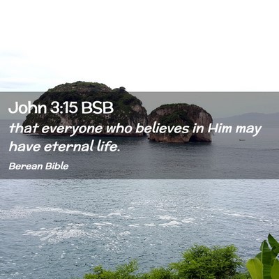Picture 02 - John 3:15 BSB - that everyone who believes in Him may have - Bible Verse Picture