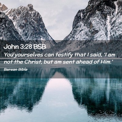Picture 02 - John 3:28 BSB - You yourselves can testify that I said, ‘I am - Bible Verse Picture