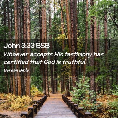 Picture 02 - John 3:33 BSB - Whoever accepts His testimony has certified that - Bible Verse Picture