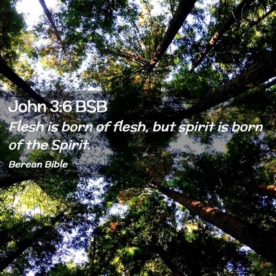 Picture 02 - John 3:6 BSB - Flesh is born of flesh, but spirit is born of the - Bible Verse Picture