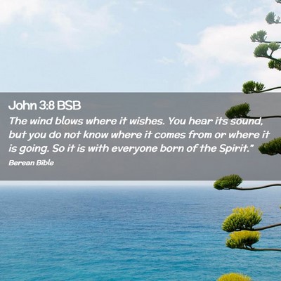 Picture 02 - John 3:8 BSB - The wind blows where it wishes. You hear its - Bible Verse Picture