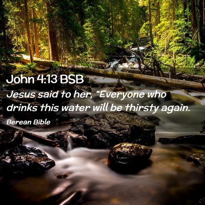 Picture 02 - John 4:13 BSB - Jesus said to her, “Everyone who drinks this - Bible Verse Picture