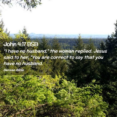 Picture 02 - John 4:17 BSB - “I have no husband,” the woman replied. Jesus - Bible Verse Picture