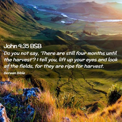 Picture 02 - John 4:35 BSB - Do you not say, ‘There are still four months - Bible Verse Picture